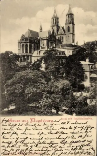 Ak Magdeburg an der Elbe, Ansicht des Doms, Präsidialgarten,  
