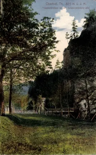 Ak Oberhof im Thüringer Wald, Landschaft mit Bäumen, Weg, Felsen, Text: Oberhof. Th.. 825 m ü. d.