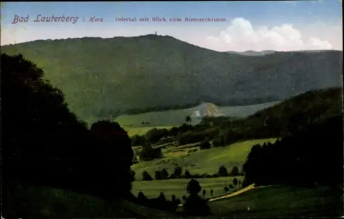 Ak Bad Lauterberg im Harz, Bad Lauterberg i. Karz, Odertal, Blick zum Rismarckturm