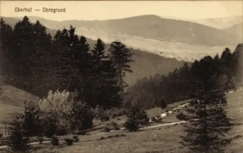 Ak Oberhof im Thüringer Wald, Landschaft mit Bäumen, Hügeln,  Obragrund