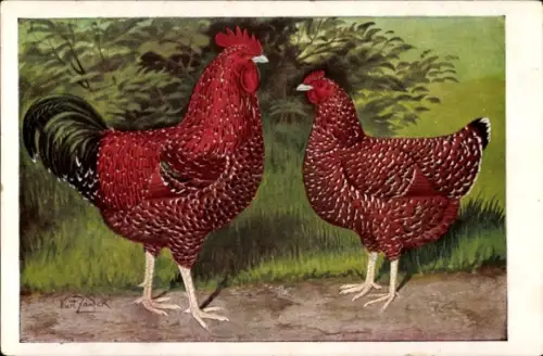 Künstler Ak Gesprenkelte Sussex, Hühner