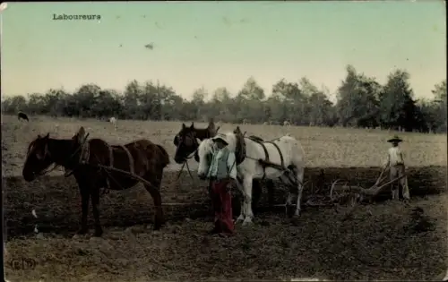 Ak Pferdepflug, Ackerbau
