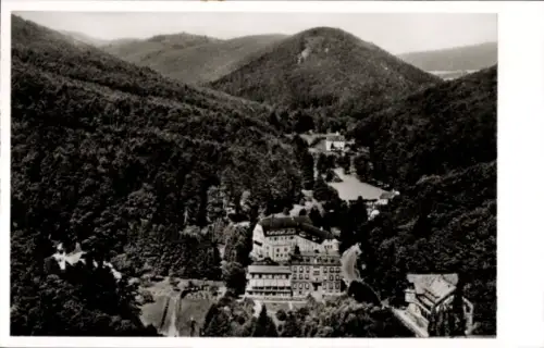 Ak Bad Bergzabern an der Weinstraße Pfalz, Luftkurort  Waldlandschaft, Berge, Kurort