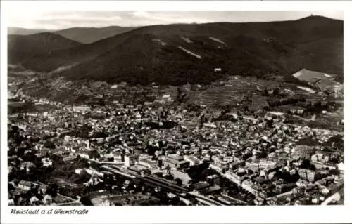 Ak Neustadt an der Weinstraße, Luftaufnahme von  Weinberge, Stadtansicht