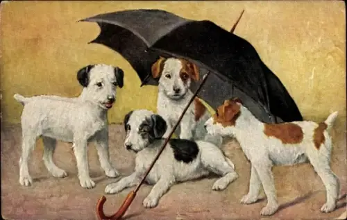 Ak Beschirmt, Vier Hunde unter einem Regenschirm