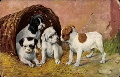 Ak Ein Eindringling, junge Hunde, Welpen