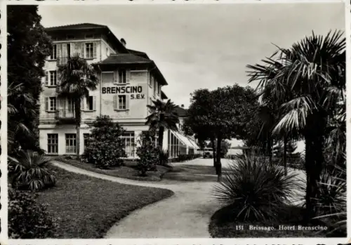 Ak Brissago Lago Maggiore Kanton Tessin, Hotel Brenscino,  Tessin, Palmen, Schwarz-Weiß-Foto