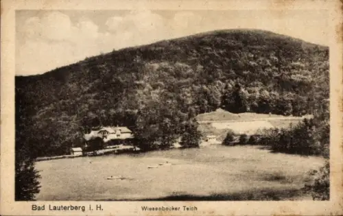 Ak Wiesenbek Bad Lauterberg im Harz, Wiesenbecker Teich, Berglandschaft, 