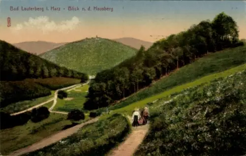 Ak Bad Lauterberg im Harz, Landschaft mit Hügeln, Weg, Wanderer,  Harz