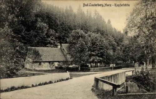 Ak Bad Lauterberg im Harz,  Kupferhütte, Wald, Straße, Gebäude