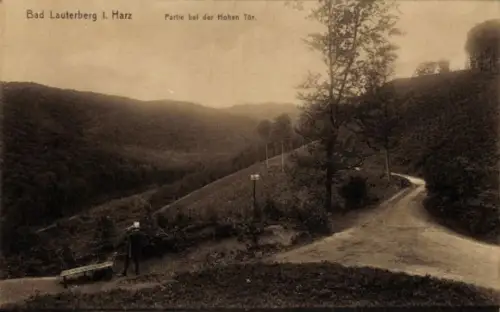 Ak Bad Lauterberg im Harz, Landschaftsaufnahme,  Harz, Hohen Tür, Weg, Bäume