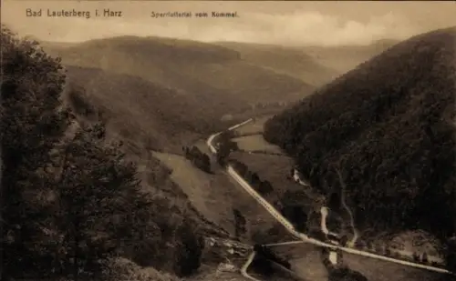 Ak Bad Lauterberg im Harz, Berglandschaft, Talansicht, Fluss, Wald
