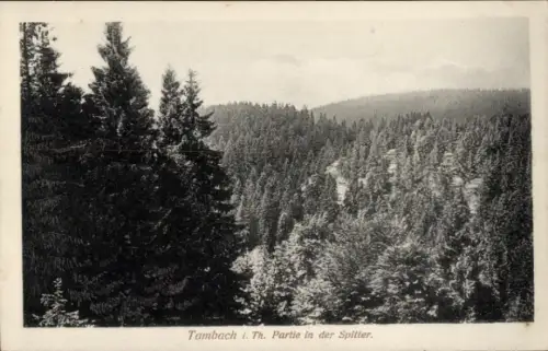 Ak Tambach Dietharz Thüringer Wald, Fels Falkenstein, Waldlandschaft, Berge, Schwarz-Weiß-Foto, T