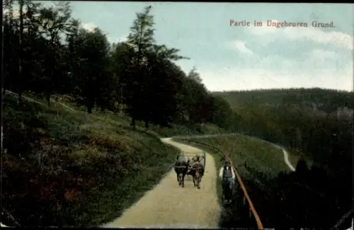 Ak Friedrichroda im Thüringer Wald, Partie im Ungeheuren Grund