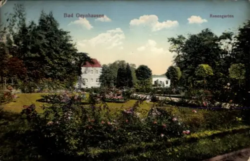 Ak Bad Oeynhausen in Westfalen,  Rosengarten, Blumen, Gartenlandschaft