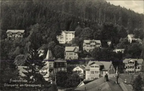 Ak Friedrichroda im Thüringer Wald,  Villen, Bäume, Herzogsweg