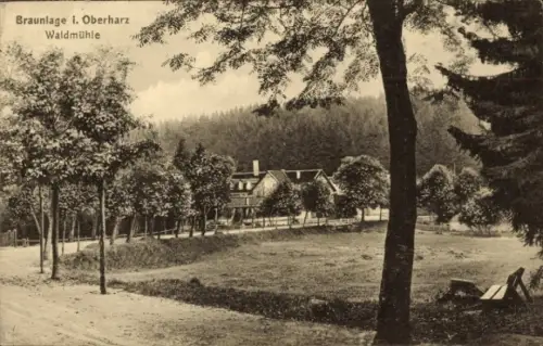 Ak Braunlage im Harz,  Waldmühle, Landschaft mit Bäumen und Gebäude
