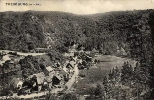 Ak Treseburg Thale im Harz, Gesamtansicht