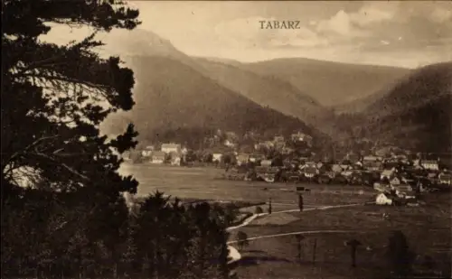 Ak Tabarz im Thüringer Wald, Berglandschaft, Ort  Häuser, Bäume, Himmel