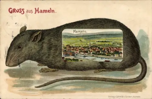 Passepartout Ak Hameln in Niedersachsen, Gesamtansicht der Stadt, Ratte