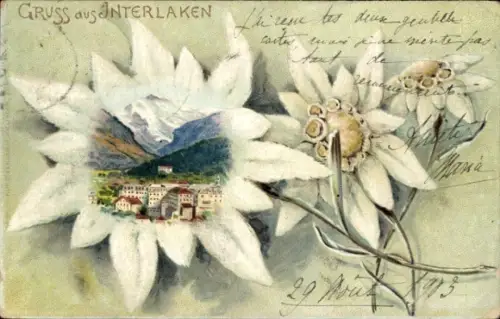 Litho Interlaken Kanton Bern Schweiz, Edelweiß, Blick auf den Ort