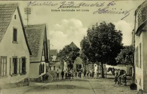 Ak Dackenheim Bad Dürkheim in der Pfalz, Untere Dorfstraße mit Linde