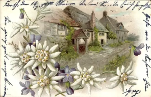 Litho Dorfmotiv, Edelweiß, Veilchen