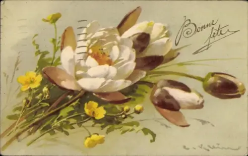 Ak Norwegen, Ørstafjord