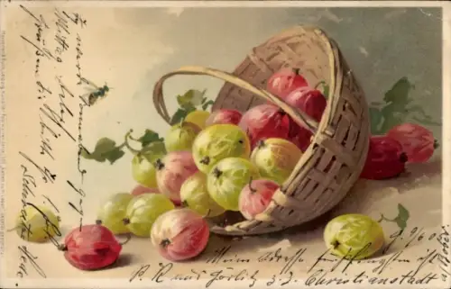 Künstler Litho Klein, Catharina, Stachelbeeren im Korb, Obst, Biene, Meissner & Buch 1305