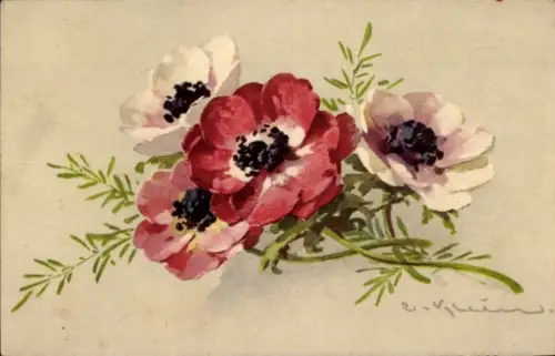 Künstler Ak Klein, Catharina, Anemonen