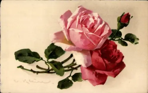 Künstler Litho Klein, Catharina, Rote Rose, Meissner & Buch 2321