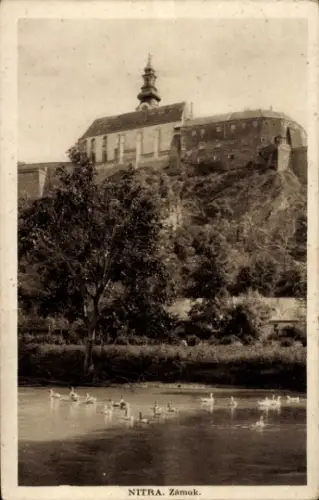 Ak Nitra Neutra Nyitra Slowakei, Burg auf einem Hügel, Enten im Wasser, NITRA, Zámok