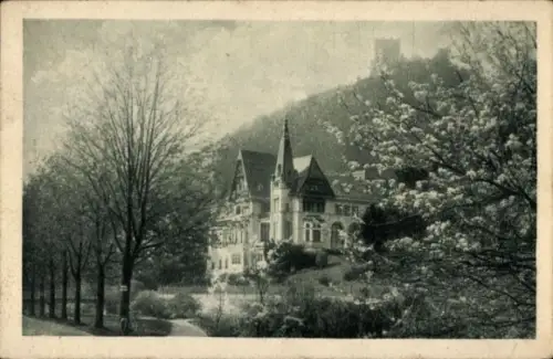 Ak Baden Baden am Schwarzwald, Villa Eugen, Bäume, Blumen, Berg im Hintergrund