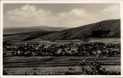 Ak Zeppenfeld Neunkirchen im Siegerland,  Kreis Siegen, Sommerfrische, ländliche Landschaft, Häus