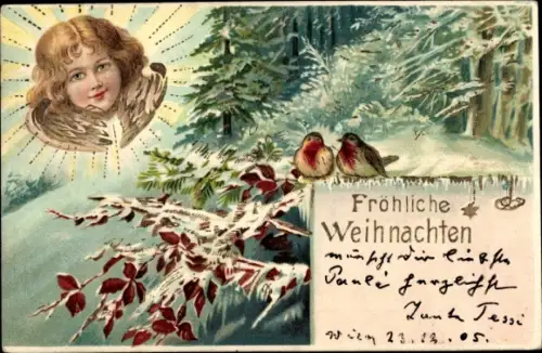 Ak Glückwunsch Weihnachten, Engel, Vögel, Wald, Tannenbaum