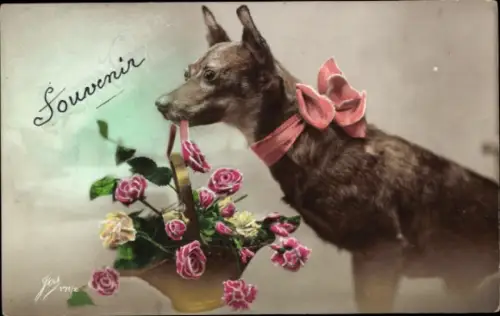 Ak Hund, Tierportrait, Blumenkorb, Rosen, coloriert