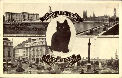 Ak London City, Schwarze Katze, Buckingham Palace, Houses of Parliament, Piccadilly Circus
