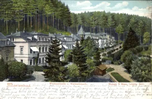 Ak Mariánské Lázně Marienbad Region Karlsbad,  Waldquelle, Waldmühlpark, Bäume, Häuser