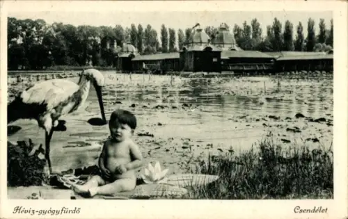 Ak Hévíz Ungarn, Kind am Wasser, Storch, Pflanzen, Hévíz-gyógyfürdő