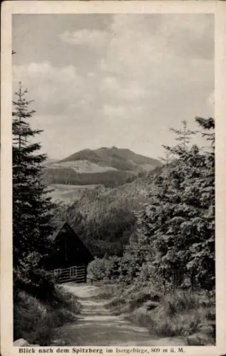 Ak Spitzberg Spicak Isergebirge Albrechtice v Jizerských horách Tschechien, Blick nach dem Spitzb