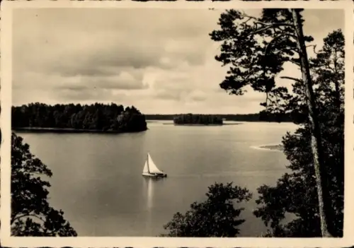 Ak Ruciane Nida Rudczanny Nidden Niedersee Masuren Ostpreußen, Blick auf den Niedersee, Segelboot