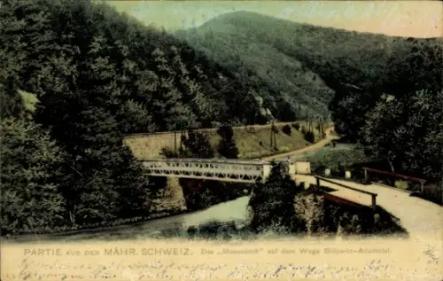 Ak Bílovice nad Svitavou Billowitz Bilowitz Südmähren, Das Mauseloch auf dem Wege Billowitz-Adamstal