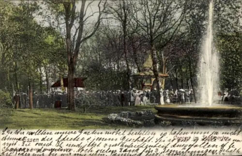 Ak Essen im Ruhrgebiet, Konzert im Stadtgarten