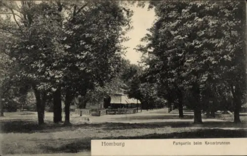 Ak Bad Homburg vor der Höhe Hessen, Parkpartie, Kaiserbrunnen