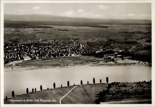 Ak Gernsheim am Rhein Hessen, Luftaufnahme von  Flusslandschaft, Wohngebäude