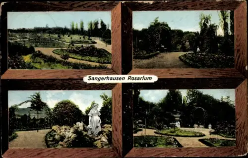 Ak Sangerhausen am Harz, Sangerhausen Rosarium, Gartenlandschaften, Blumenbeete, Menschen