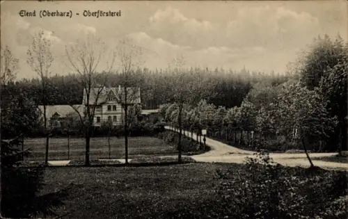 Ak Elend Oberharz am Brocken,  Oberförsterei, Wald, Straße, 