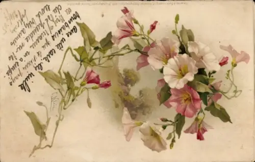 Künstler Ak Klein, C., Blumen