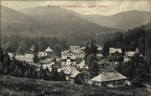 Ak Karlova Studánka Bad Karlsbrunn Mährisch Schlesien, Gesamtansicht