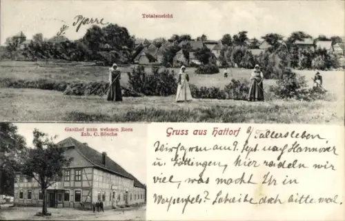 Ak Hattorf Wolfsburg in Niedersachsen, Totalansicht, Gasthof zum weißen Ross